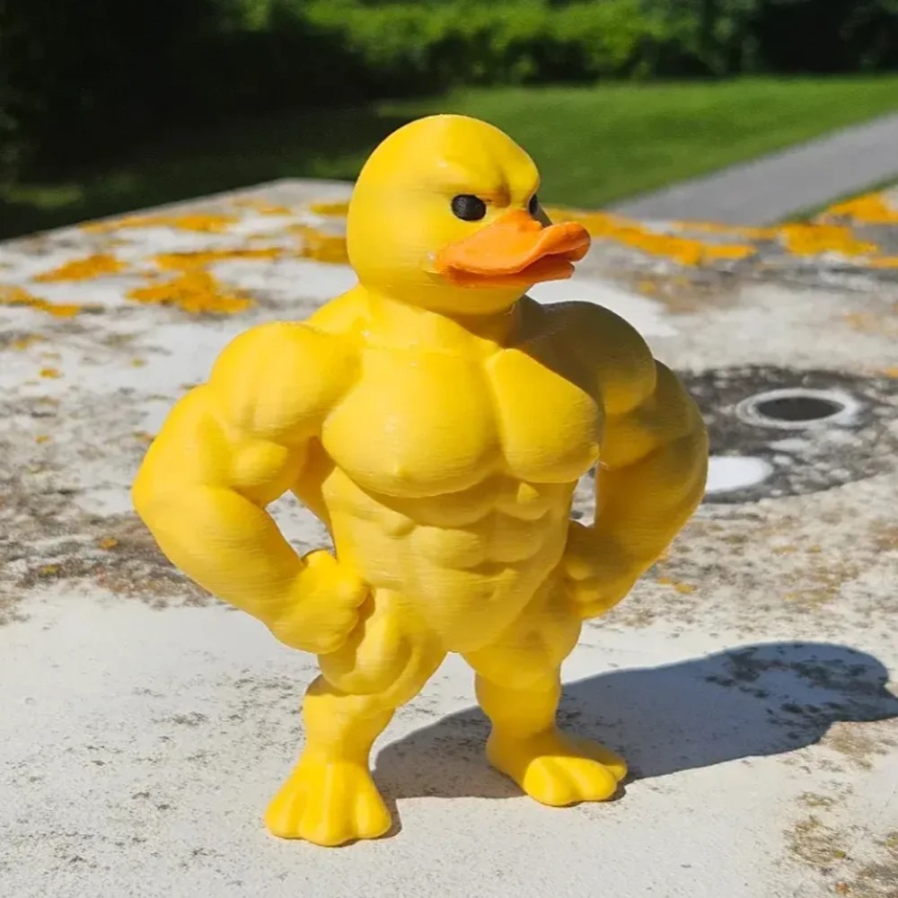 근육 오리 조각상 -3D 데스크탑 장식, 귀여운 책장  - Art Craft Duck 리뷰 및 가격