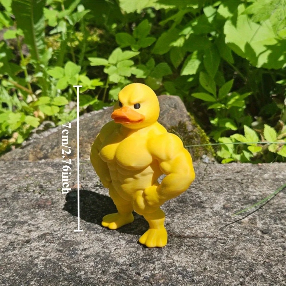 근육 오리 조각상 -3D 데스크탑 장식, 귀여운 책장  - Art Craft Duck 리뷰 및 가격